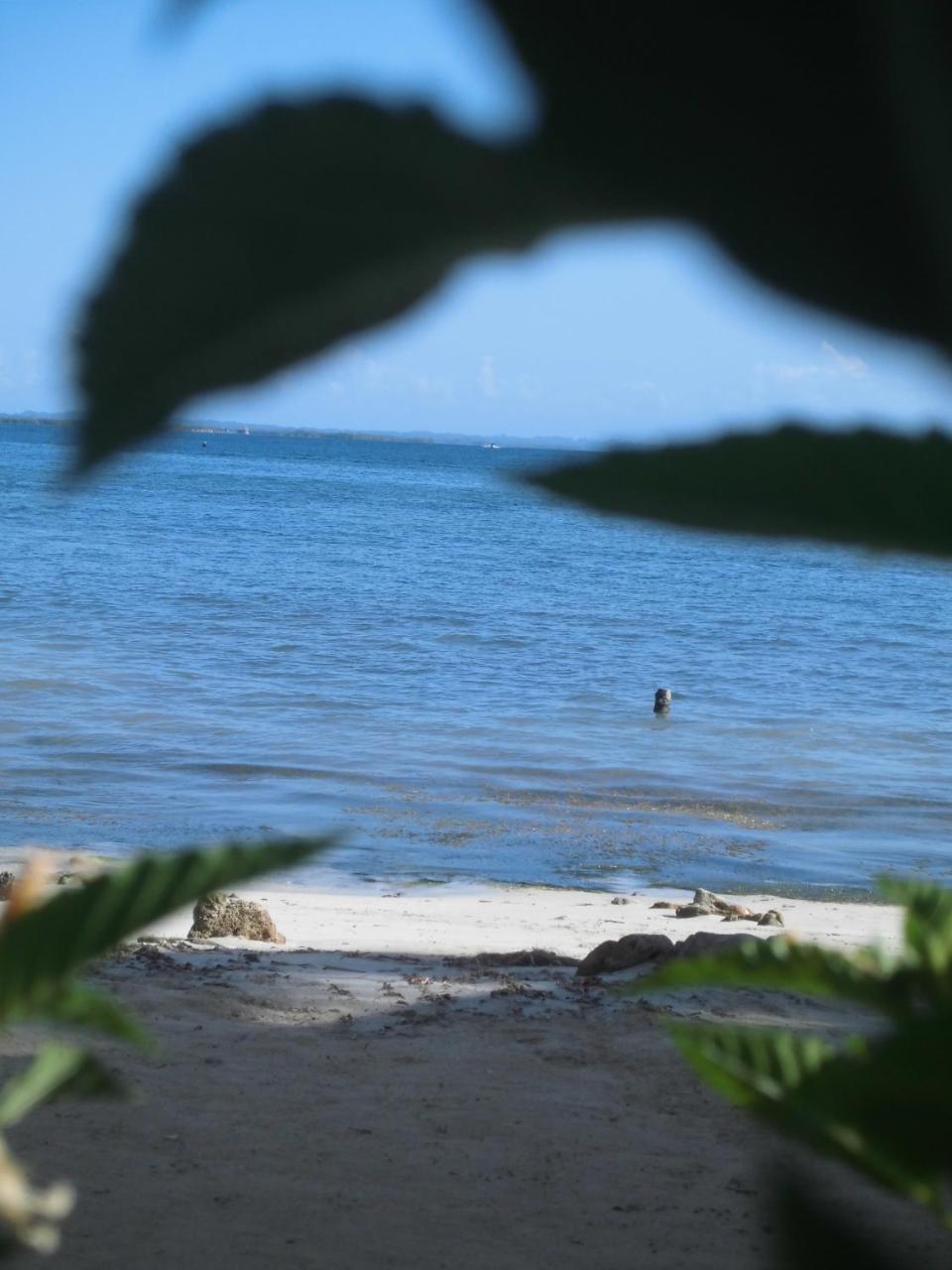 ホテル Faro Del Colibri Carenero エクステリア 写真